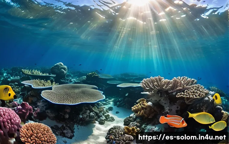 솔로몬 제도 서핑 명소 관련 이미지 2